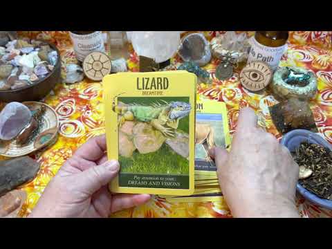 Power Animal Oracle Cards Tarot Cards Hay House LLC