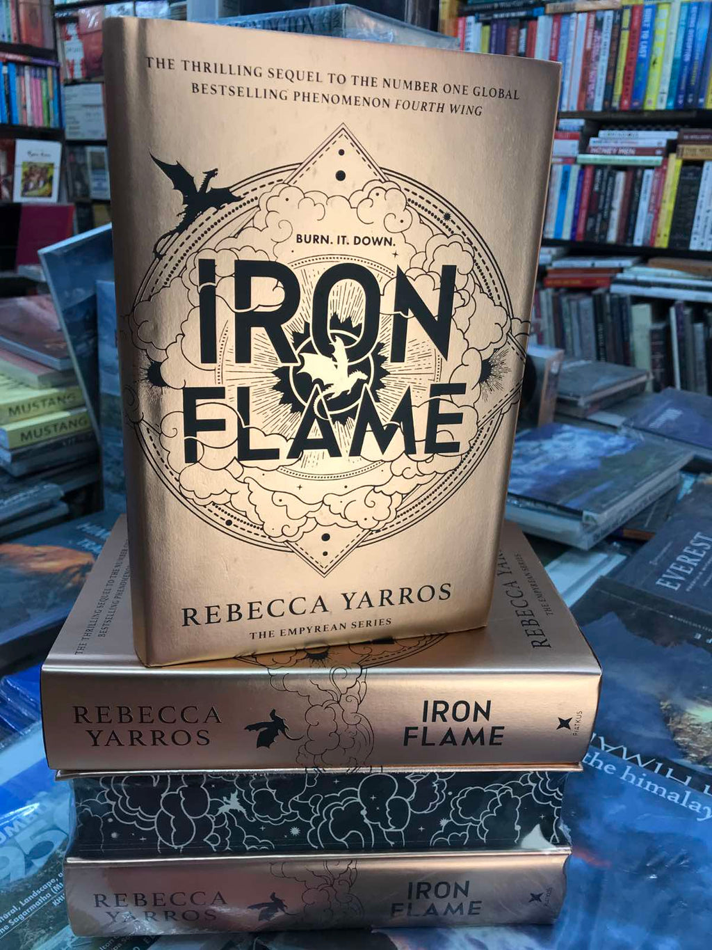 Iron Flame Brown Book Group