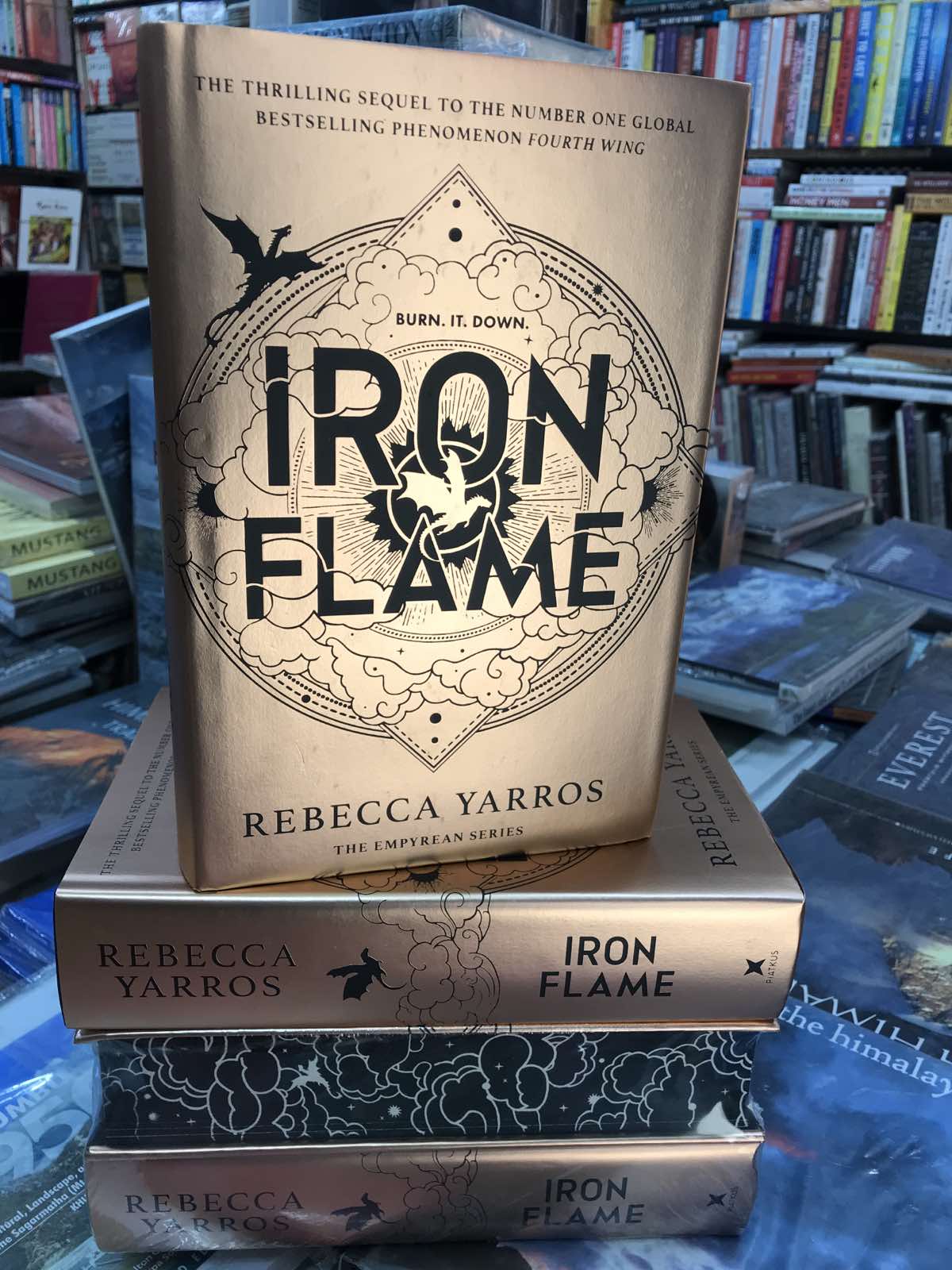 Iron Flame Brown Book Group