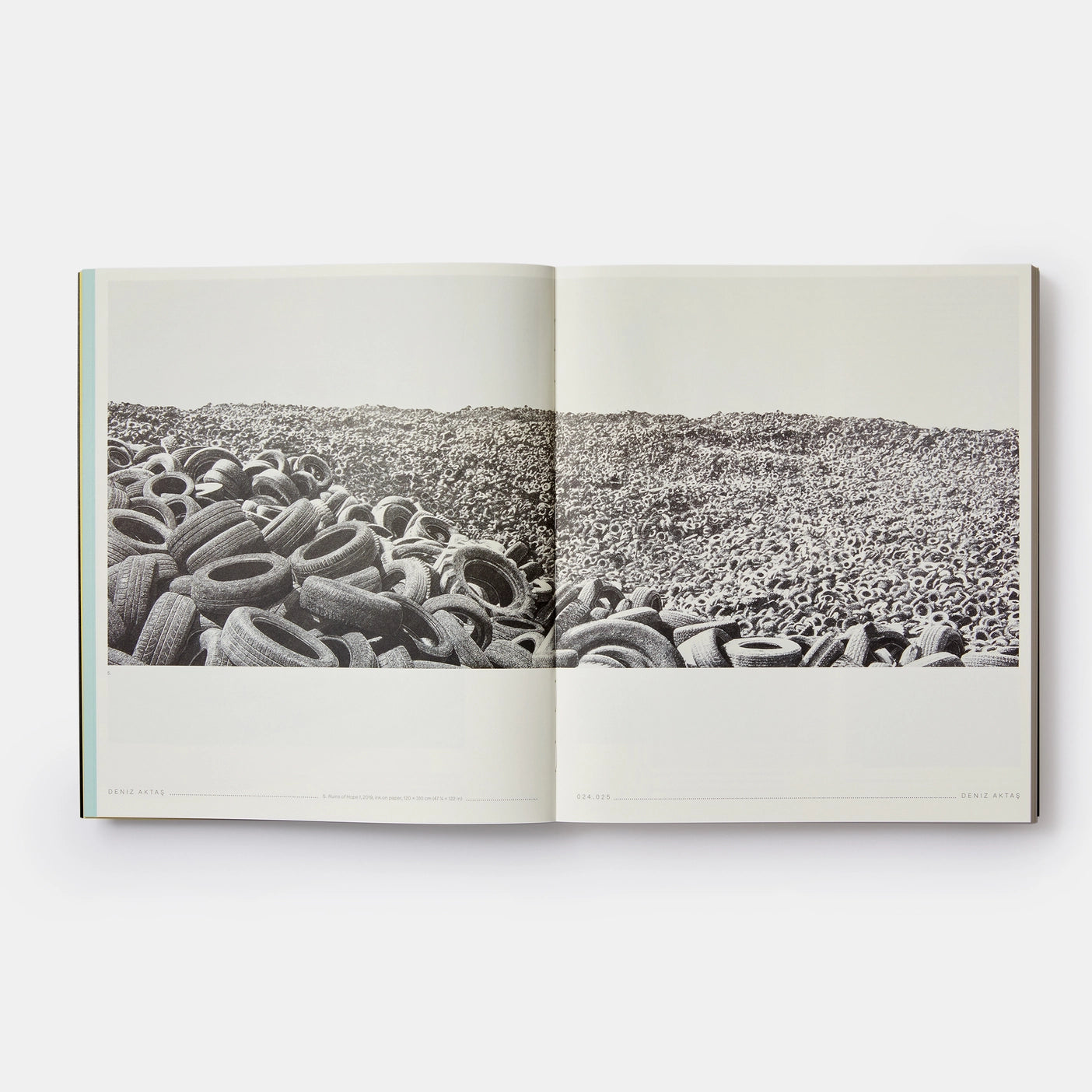 Vitamin D3 Phaidon Press