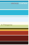 In Patagonia Vintage