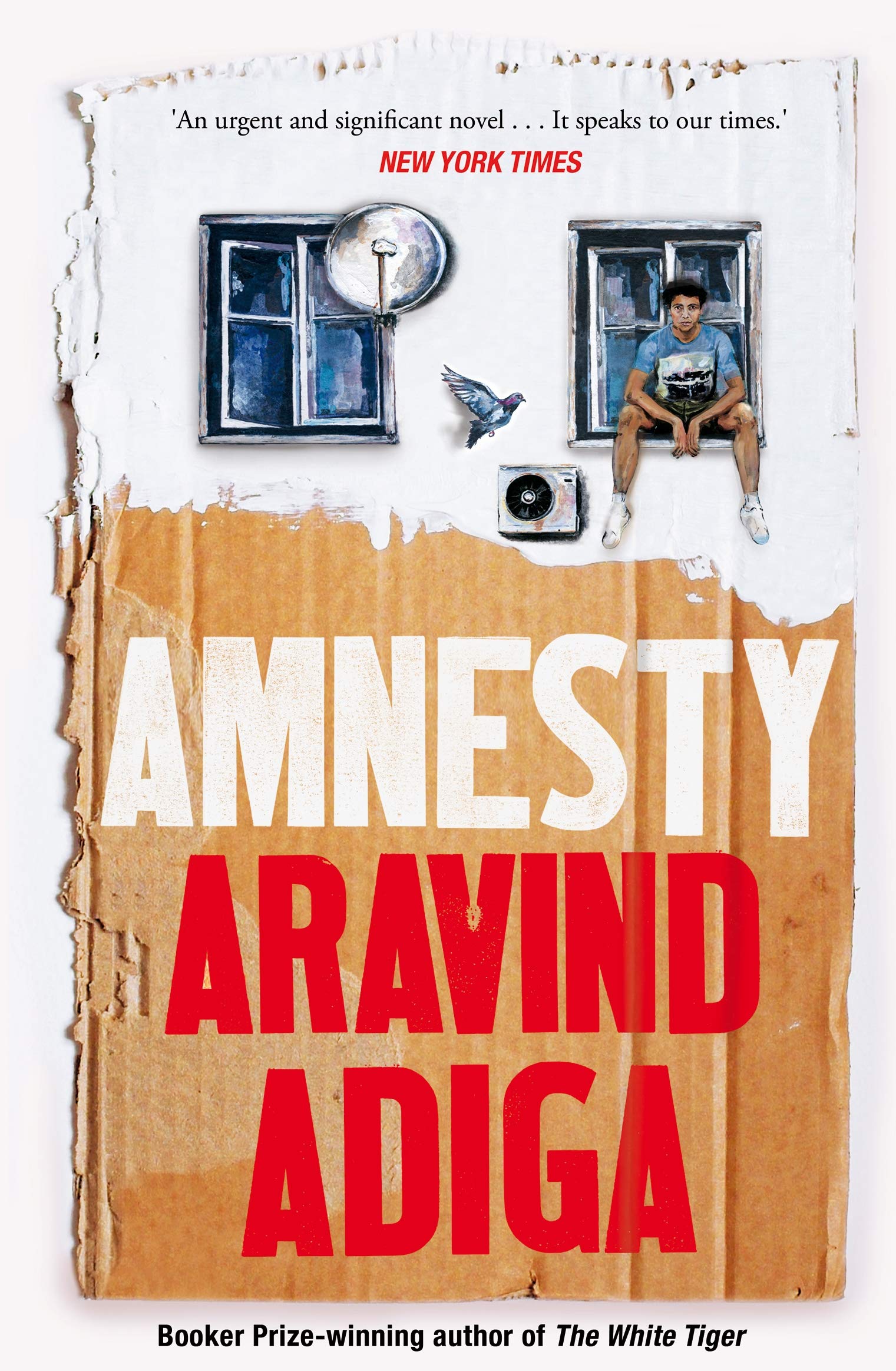 Amnesty Picador