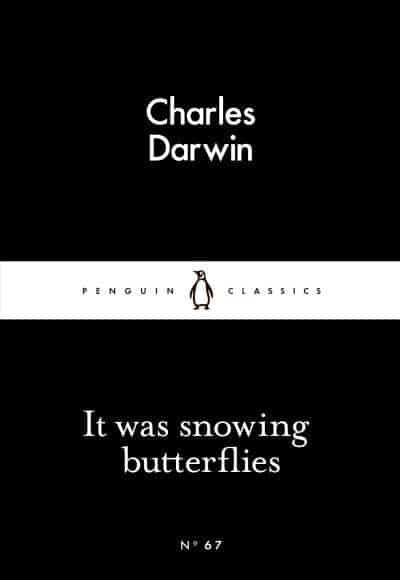 It Was Snowing Butterflies BIBLIONEPAL