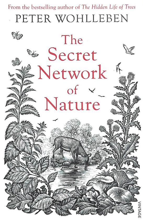 The Secret Network of Nature: The Delicate Balance of All Living Things (The Mysteries of Nature #3) BIBLIONEPAL