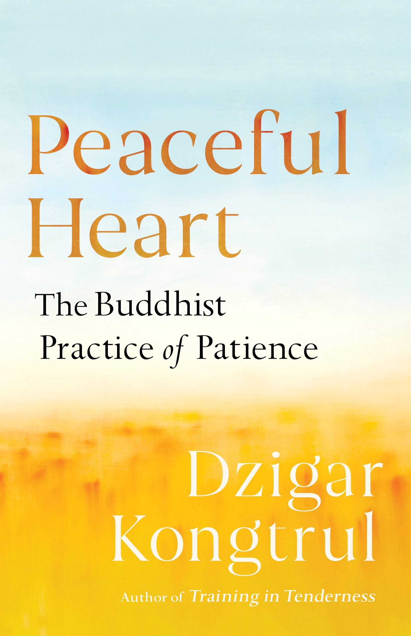 Peaceful Heart: The Buddhist Practice of Patience BIBLIONEPAL