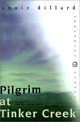 Pilgrim at Tinker Creek