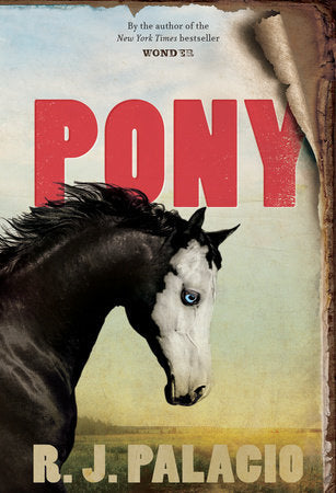 PONY BIBLIONEPAL