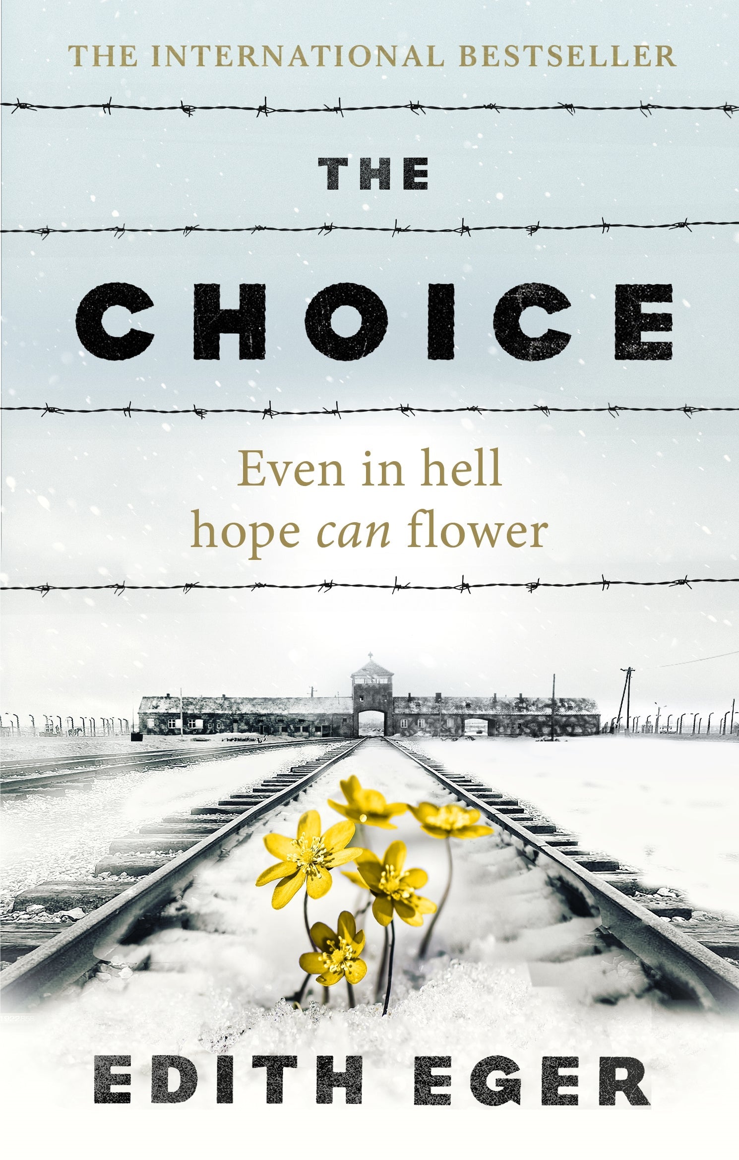 The Choice BIBLIONEPAL